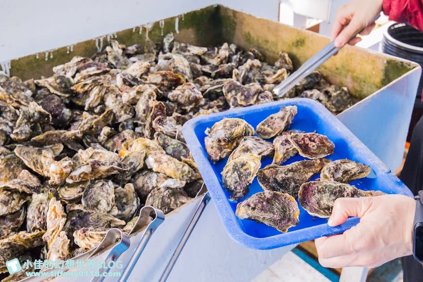 澎湖｜海洋牧場