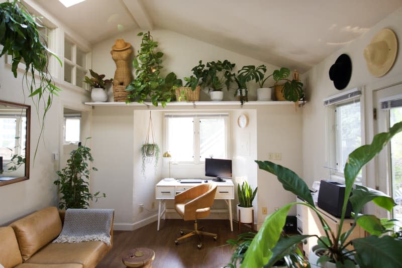 A small living area with a shelf dedicated to plants over a desk