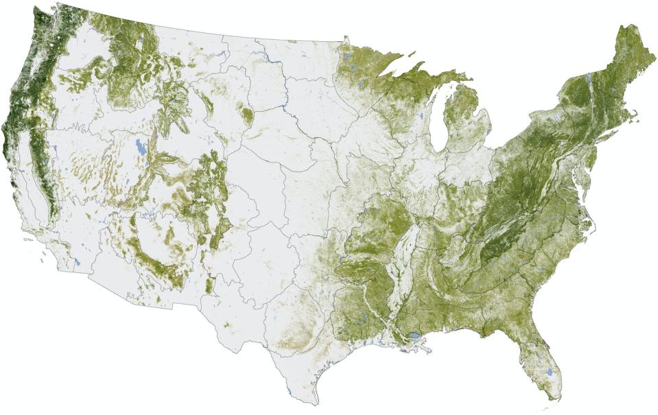 U.S. forest cover today. Trees were larger and forests more extensive thousands of years ago. <a href="https://earthobservatory.nasa.gov/images/76697/where-the-trees-are" rel="nofollow noopener" target="_blank" data-ylk="slk:Robert Simmon/NASA Earth Observatory;elm:context_link;itc:0;sec:content-canvas" class="link ">Robert Simmon/NASA Earth Observatory</a>