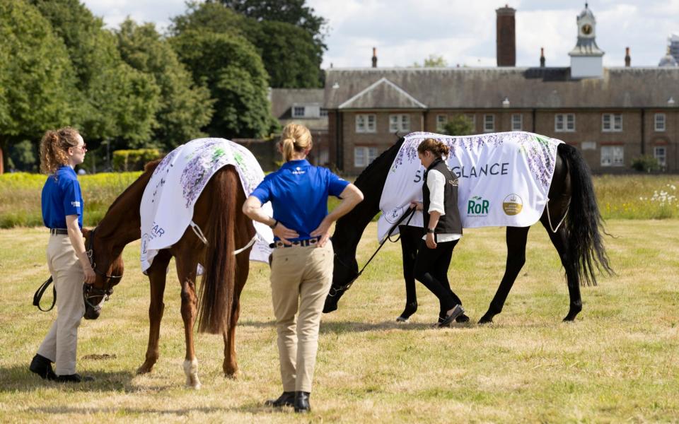 The Goffs London Sale