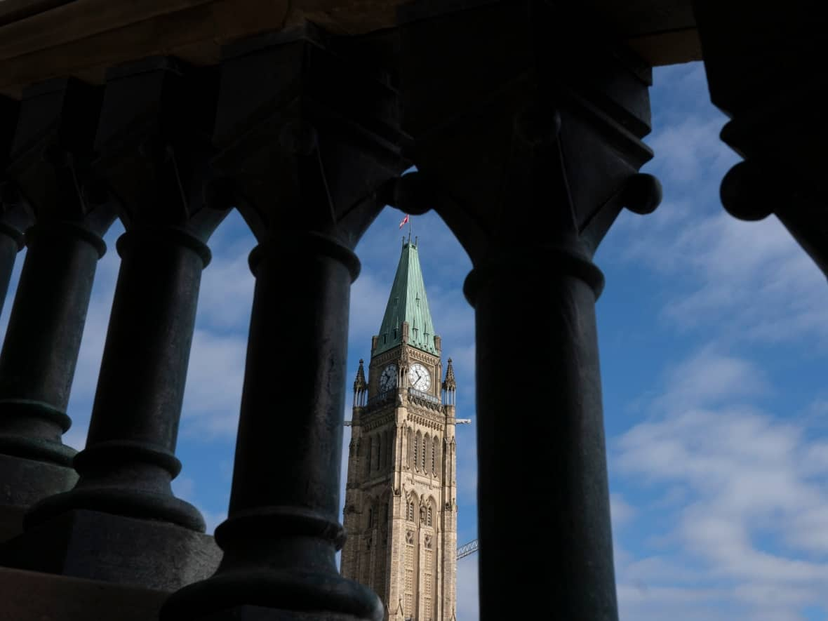 When Parliament returns on Nov. 22, all MPs and staff working in the House of Commons precinct must be fully vaccinated or — if they have a valid medical reason for not getting vaccinated — must provide a negative COVID-19 test. (Adrian Wyld/The Canadian Press - image credit)