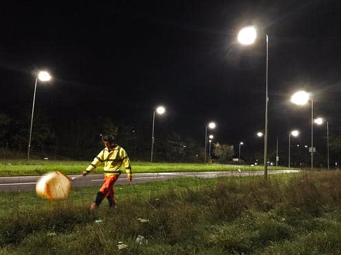 <span class="caption">Surveying moth caterpillars Douglas Boyes</span>