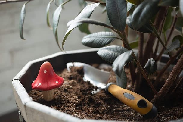 A set of self-watering terra-cotta mushroom bulbs