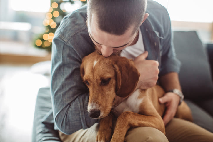 Un perro en tu casa podría ser la mejor solución para evitar problemas del corazón. Foto: svetikd/Getty Images