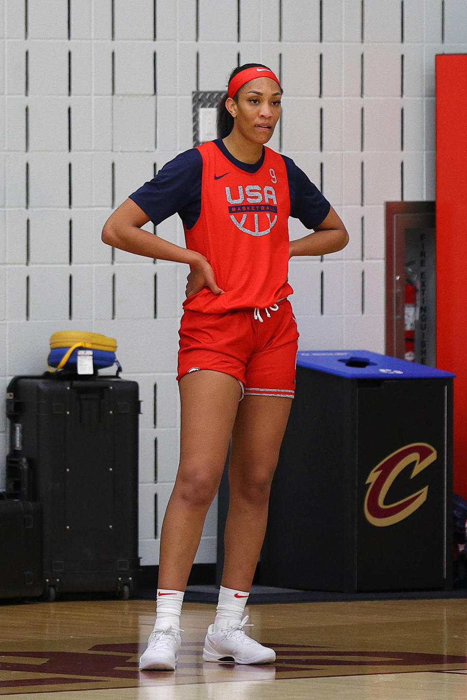 USA Basketball - Women's National Team Training Camp (Mike Lawrie / Getty Images)
