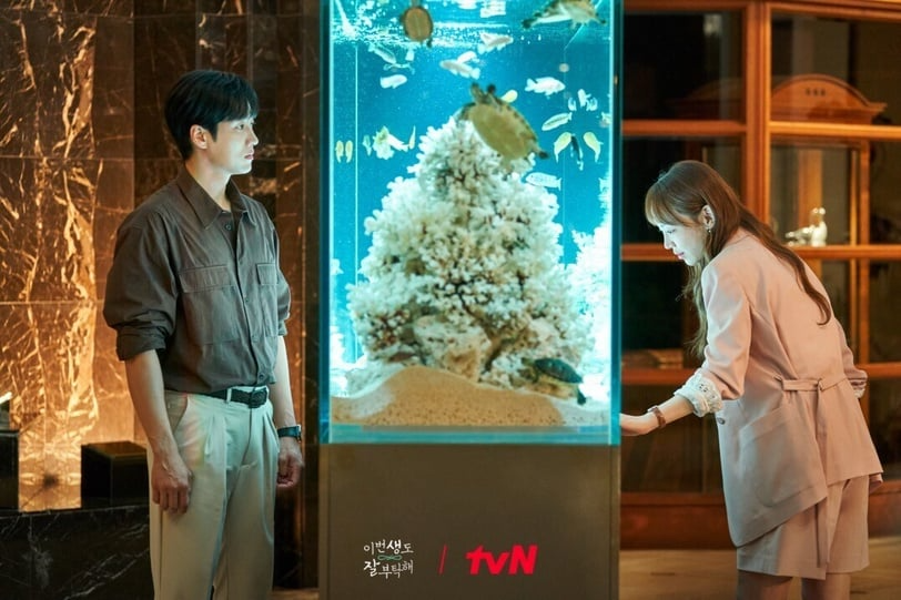 圖片來源：tvN《今生也請多指教》劇照