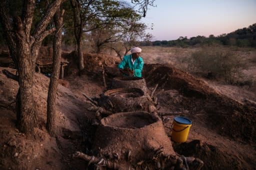 The harvesting is done only by women, who often camp in the dry river bed for weeks to make the most of the dry season