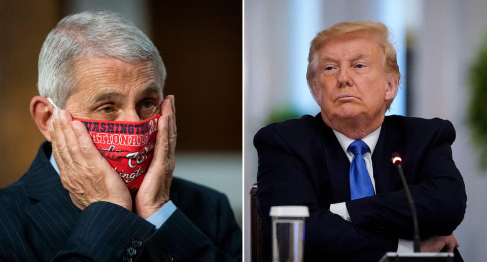 Dr Anthony Fauci is pictured wearing a red face mask (left) and Donald Trump (right) is pictured with his arms crossed. Source: Getty