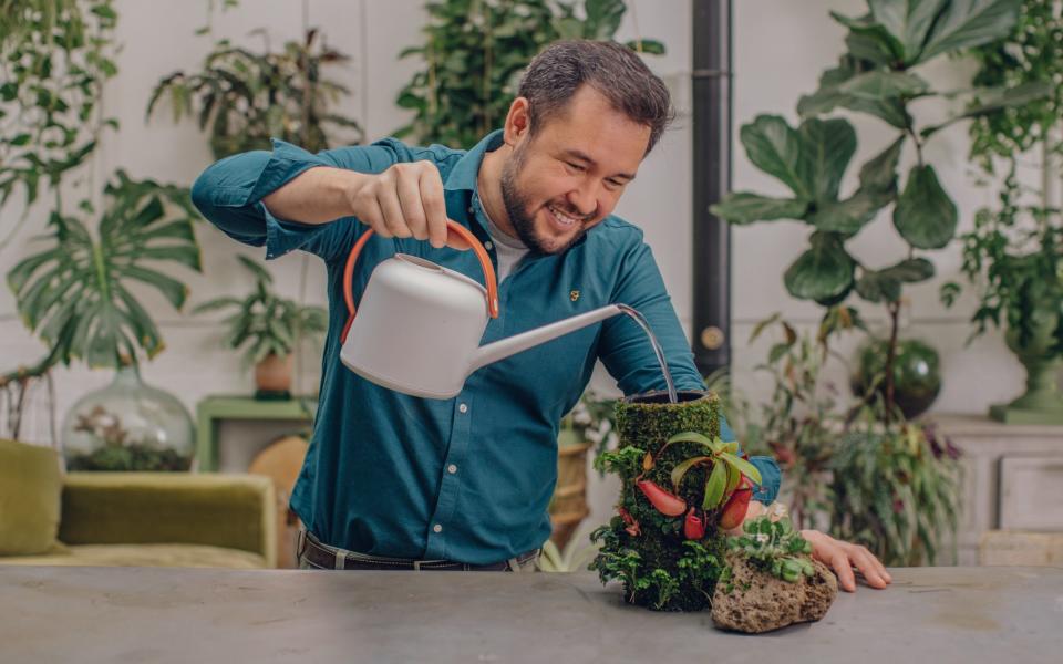 Houseplants gardening home improvement mental health benefits