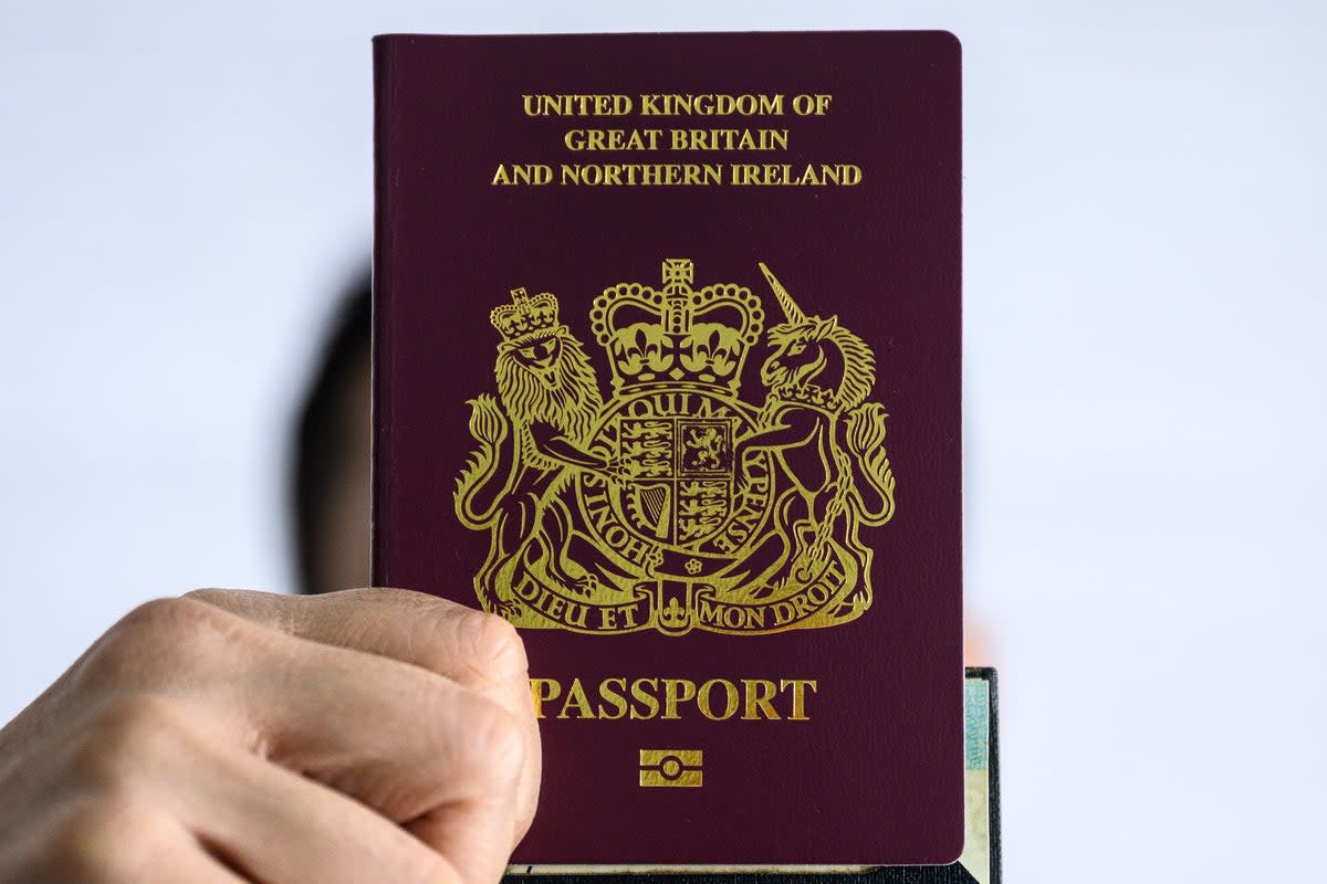 The rules on passport validity for British visitors to the European Union have tightened  (AFP via Getty Images)