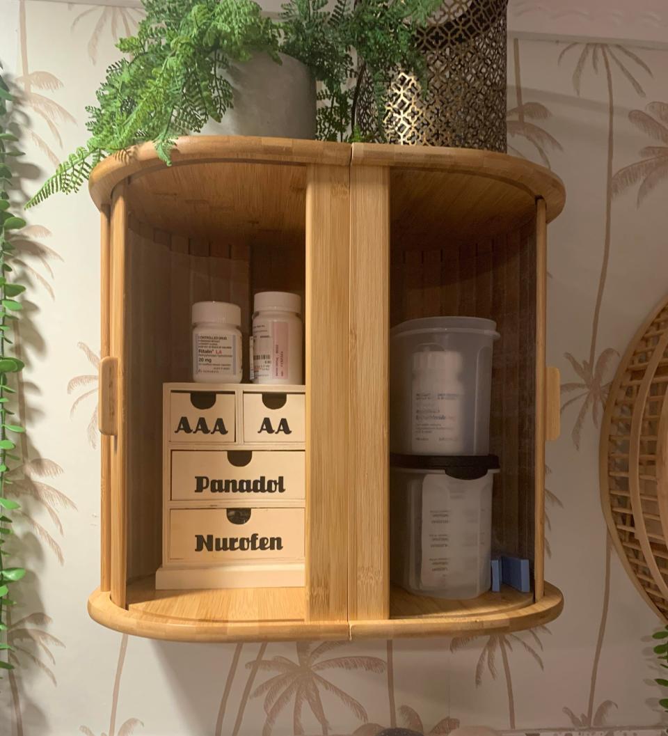 An image showing the medicine cabinet with its roller doors slid open, showing medications. It is mounted to the wall and has a plant sitting above it.