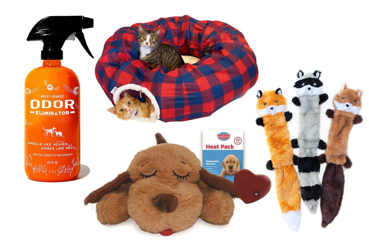 Gifts for Pets