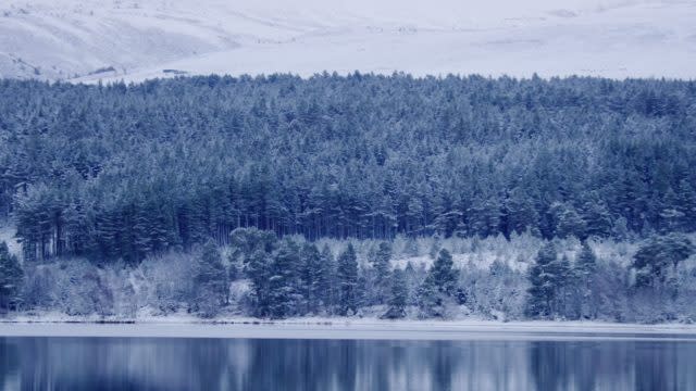 Winterwatch will broadcast from the Cairngorms National Park next year (BBC/PA)