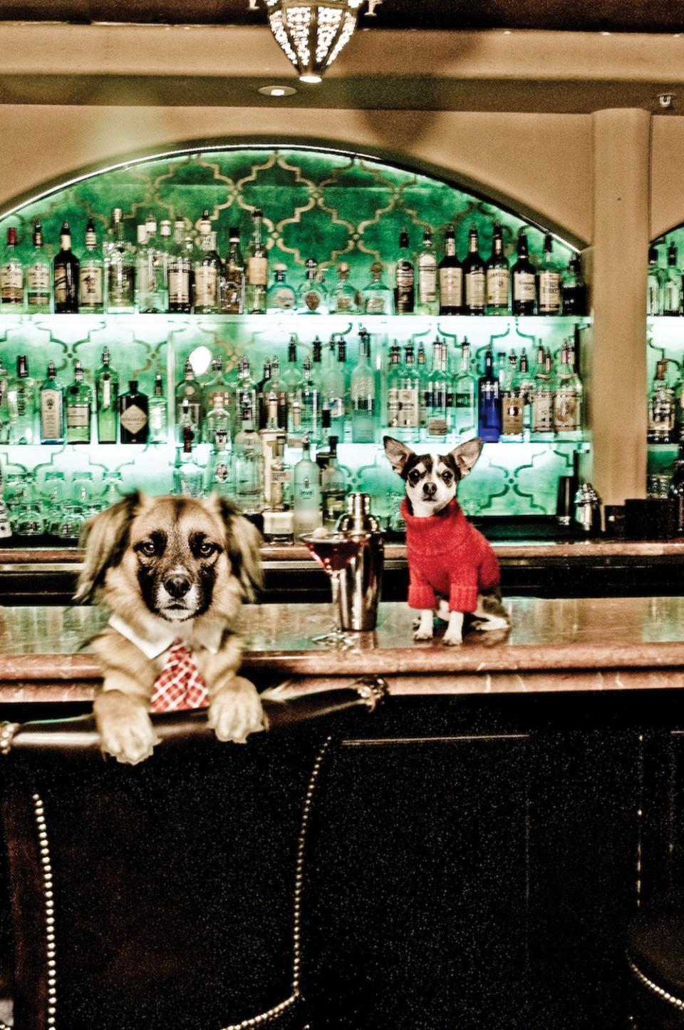 Guests can enjoy Yappy Hour with their pets.