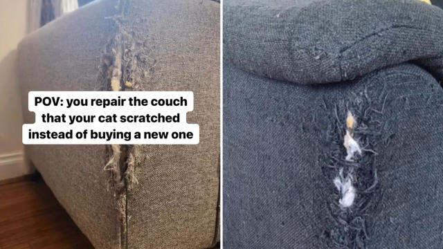  Cat Scratch Couch Repair