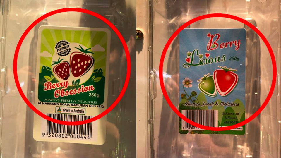 Consumers have been warned to dispose of or return Berry Licious and Berry Obsession punnets sold in Queensland, New South Wales and Victoria after sewing needles were found inside. Source: Facebook/Queensland Strawberries