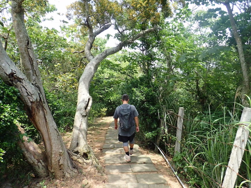 苗栗老崎古道（頭份後花園步道）