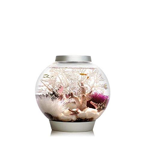 biOrb CLASSIC 15 Aquarium with LED - 4 gallon, Silver (Amazon / Amazon)