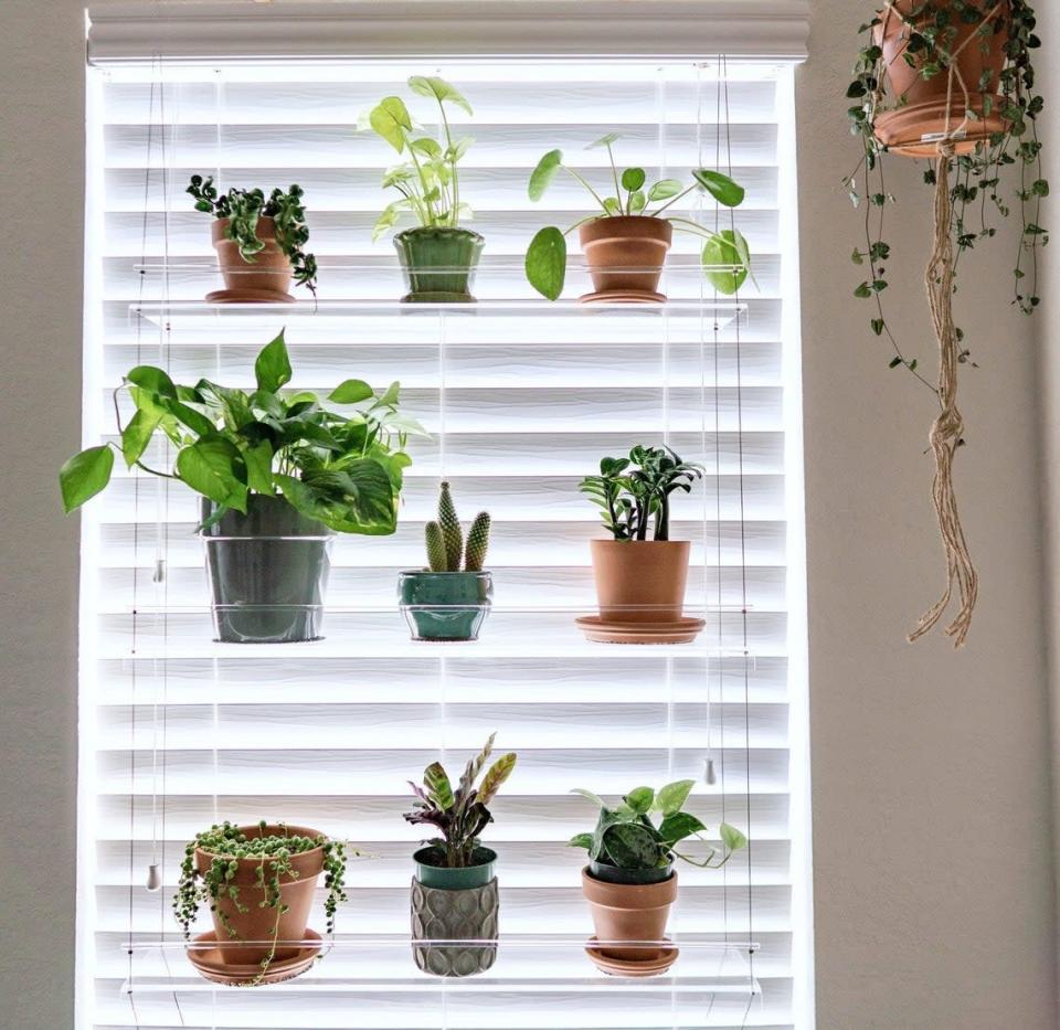 <h2>Etsy Window Hanging Plant Shelf</h2><br><strong>When you don't have a window sill to plant an apartment garden</strong>: Try taking those green friends to your sun-soaked windows with this sweet acrylic hanging system that looks as if it's suspended in the sunshine.<br><br><em>Shop <strong><a href="https://www.etsy.com/listing/130803004/window-plant-shelf-hanging-shelf-acrylic" rel="nofollow noopener" target="_blank" data-ylk="slk:Etsy" class="link ">Etsy</a></strong></em><br><br><strong>IndoorWindowGardens</strong> Window Hanging Plant Shelf, $, available at <a href="https://go.skimresources.com/?id=30283X879131&url=https%3A%2F%2Fwww.etsy.com%2Flisting%2F130803004%2Fwindow-plant-shelf-hanging-shelf-plant" rel="nofollow noopener" target="_blank" data-ylk="slk:Etsy" class="link ">Etsy</a>