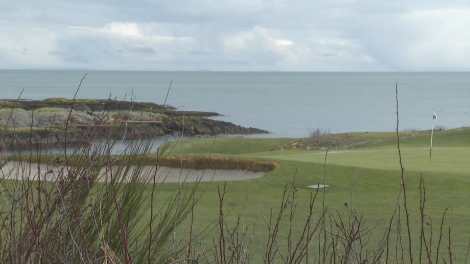 A B.C. woman has filed a lawsuit claiming she was seriously injured by a stray golf ball while driving along a road that cuts through the Victoria Golf Club. (CHEK News - image credit)