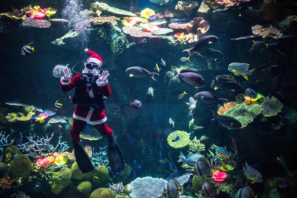 A diver dressed as Santa Claus poses for pictures at the Sea Life Bangkok Ocean World aquarium on Dec. 21.