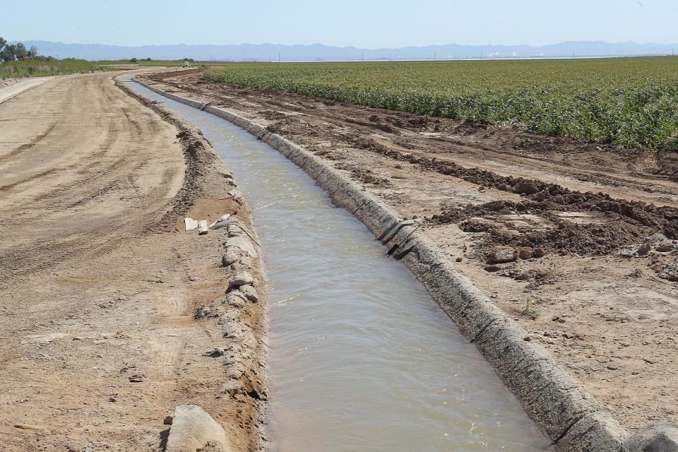 A canal carries water through Elmore Desert Ranch,  part of about 12,000 acres farmed by various members of the Elmore family.
(Credit: Jay Calderon/The Desert Sun)