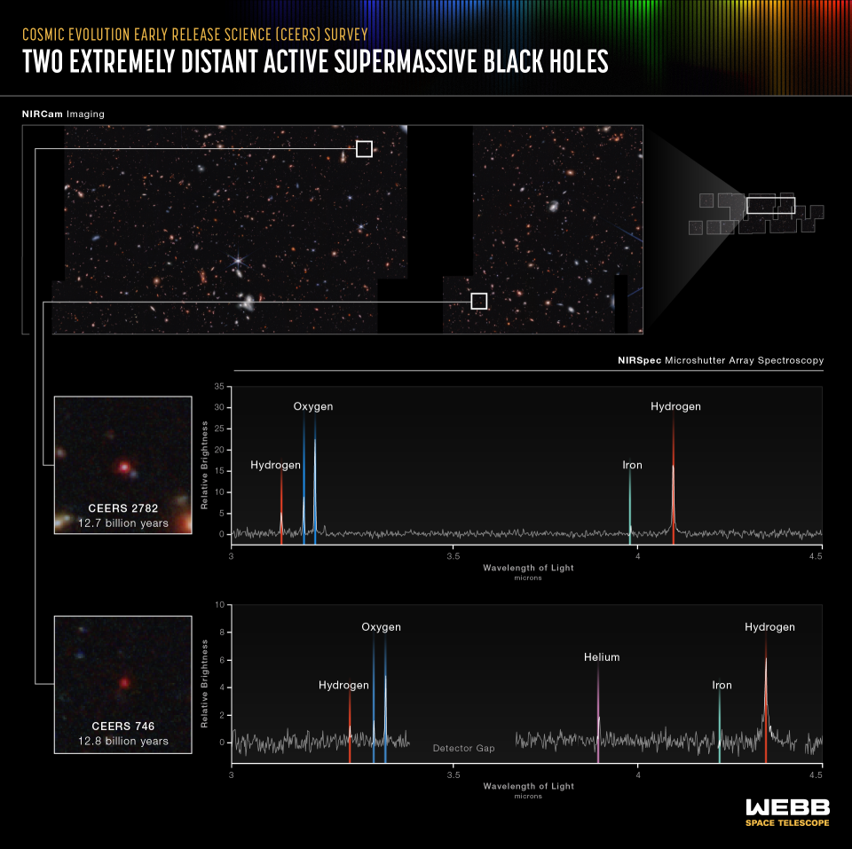 two graphs revealing the chemical compositions of two distant galaxies