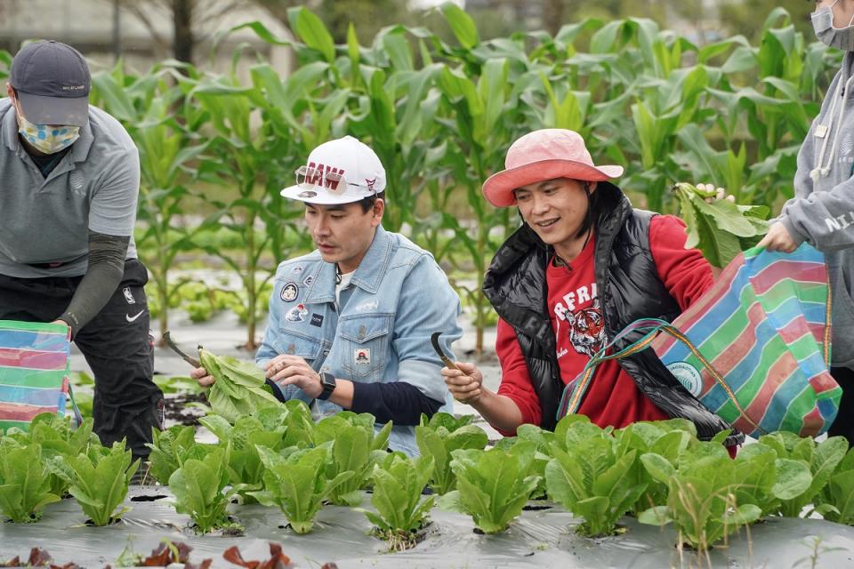 《請問 今晚住誰家》－王傳一、黃鐙輝親自下田採摘年菜食材（圖／東森超視）