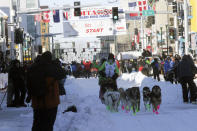 Ryan Redington, whose grandfather Joe Redington Sr. helped start the Iditarod in 1973, mushes down Fourth Avenue during the Iditarod Trail Sled Dog Race's ceremonial start in downtown Anchorage, Alaska, on Saturday, March 4, 2023. The smallest field ever of only 33 mushers will start the competitive portion of the Iditarod Sunday, March 5, 2023, in Willow, Alaska. (AP Photo/Mark Thiessen)