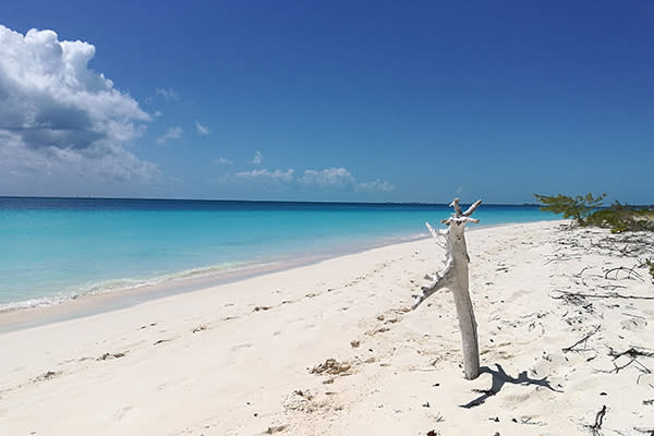 <p>En pleno corazón de la Riviera Maya, en México, está playa cuyo nombre hace eco de su belleza. Además está rodeada de las ruinas arqueológicas de Tulum, como describe el portal <em><a rel="nofollow noopener" href="https://www.visitmexico.com/es/actividades-principales/tulum/descubre-el-eden-en-playa-paraiso" target="_blank" data-ylk="slk:Visit Mexico;elm:context_link;itc:0;sec:content-canvas" class="link ">Visit Mexico</a></em>. Foto: Giuseppe Sgorbarti / EyeEm / Getty Images. </p>