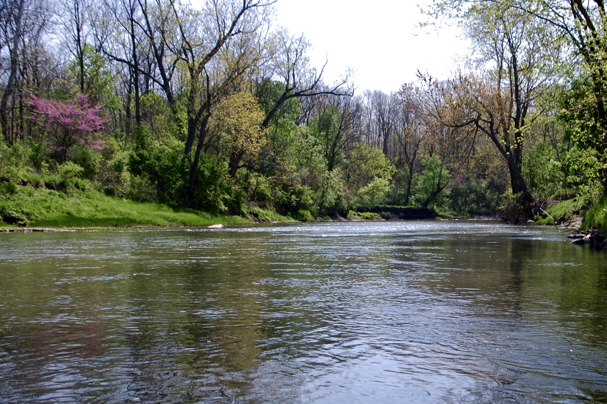 Vermilion River