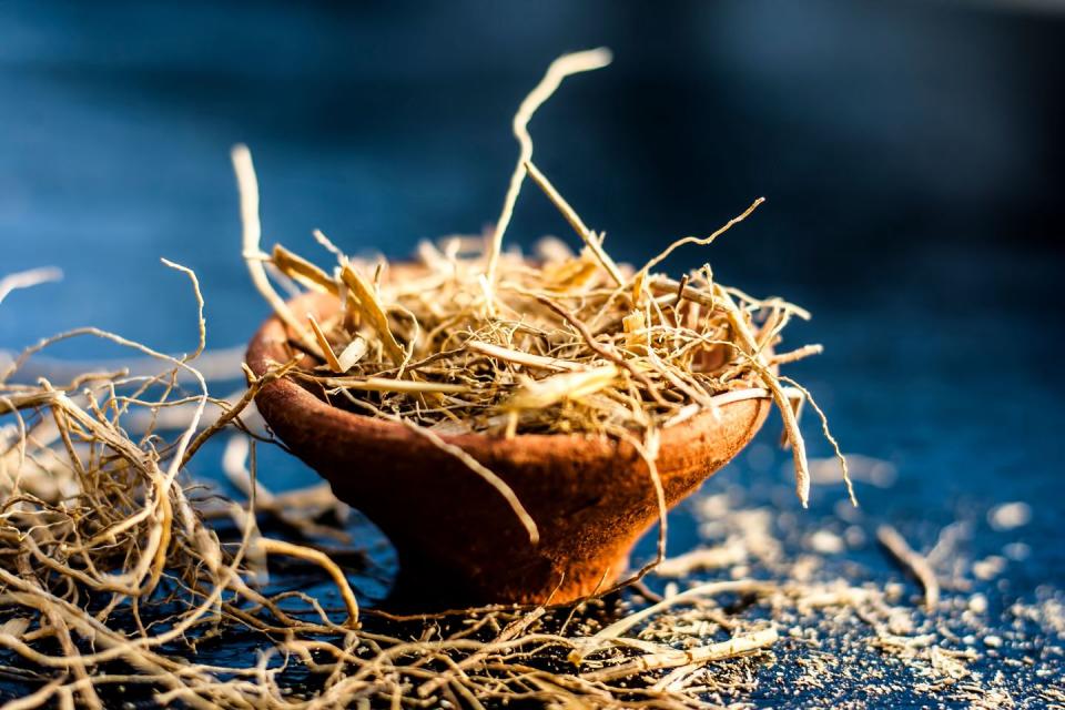 Bird nest, Plant, 