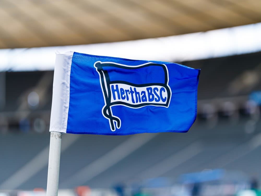 Hertha BSC erweitert die Geschäftsführung (Max Ellerbrake)