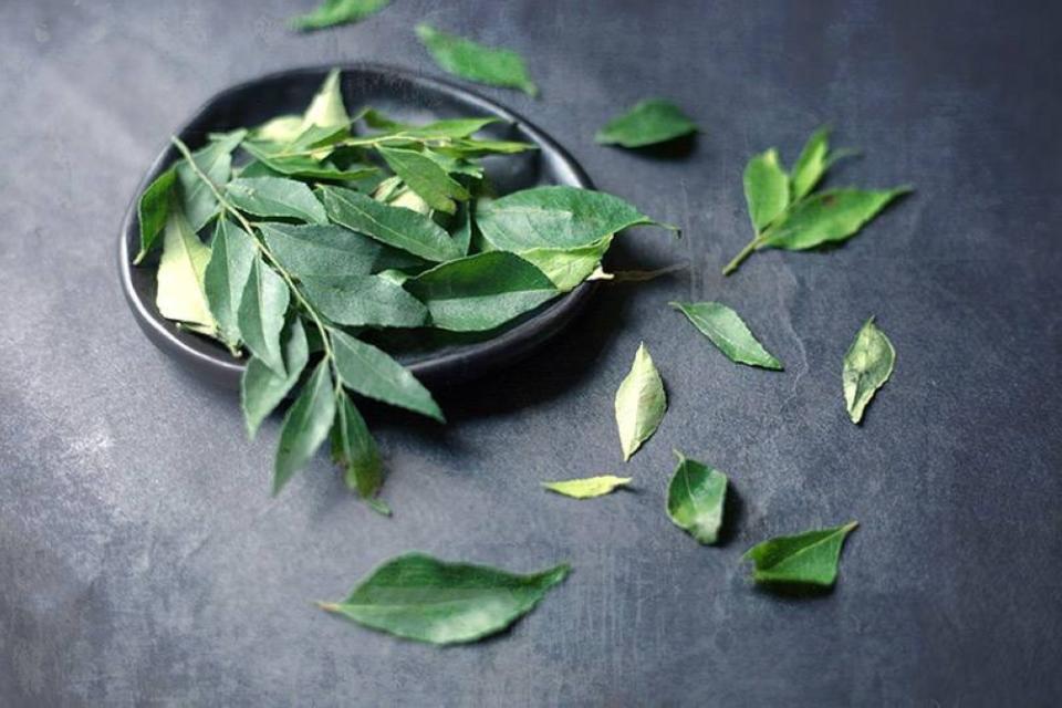 Sprigs of curry leaves