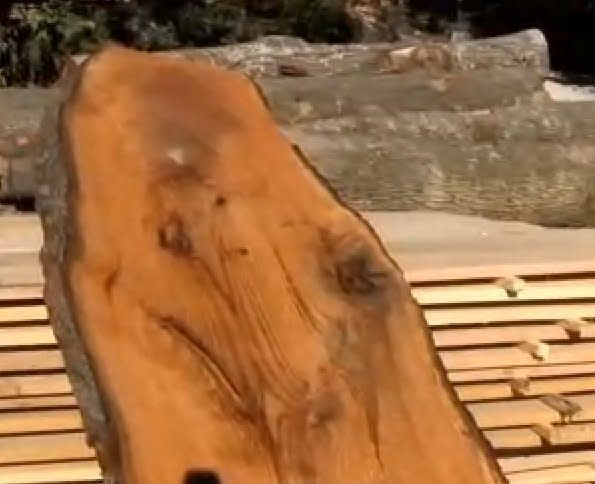 A lumber yard owner in Tennessee was crying Hal-log-lejuah after he saw this image on the inside of a tree trunk.  <a href="http://www.huffingtonpost.com/2014/09/28/tree-trunk-jesus-daniel-turbeville_n_5895780.html?" target="_blank">Click here to read the whole story.</a>