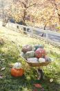 <p>Great trick-treaters and well-wishers with a wheelbarrow stuffed full of painted on and decoupaged leaf motif pumpkins. Bulk up the display with no extra work by including loads of varying size and color pumpkins</p><p><strong>To make: </strong></p><p><strong>Decoupage Leaves:</strong> Cut out leaves and flowers from new or vintage wallpaper or wrapping paper. Decoupage to pumpkins using Mod Podge.</p><p><strong>Outlined Painted Leaves:</strong> Use a leaf shaped stencil to paint fall colored leaves on green, blue or white pumpkins. Once dry use a white paint pen to outline the leaves, add veining, and decorative details.</p>