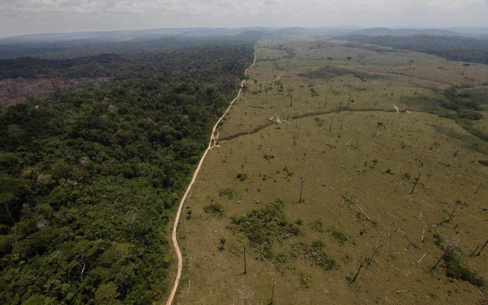 amazon deforestation in brazil