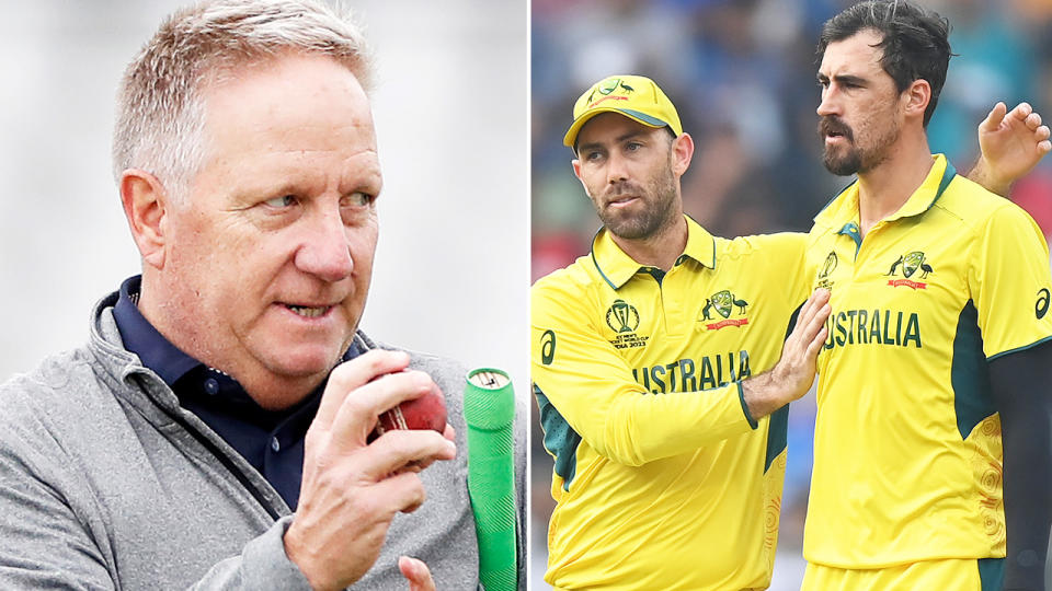 Ian Healy and Mitchell Starc, pictured here at the Cricket World Cup. 