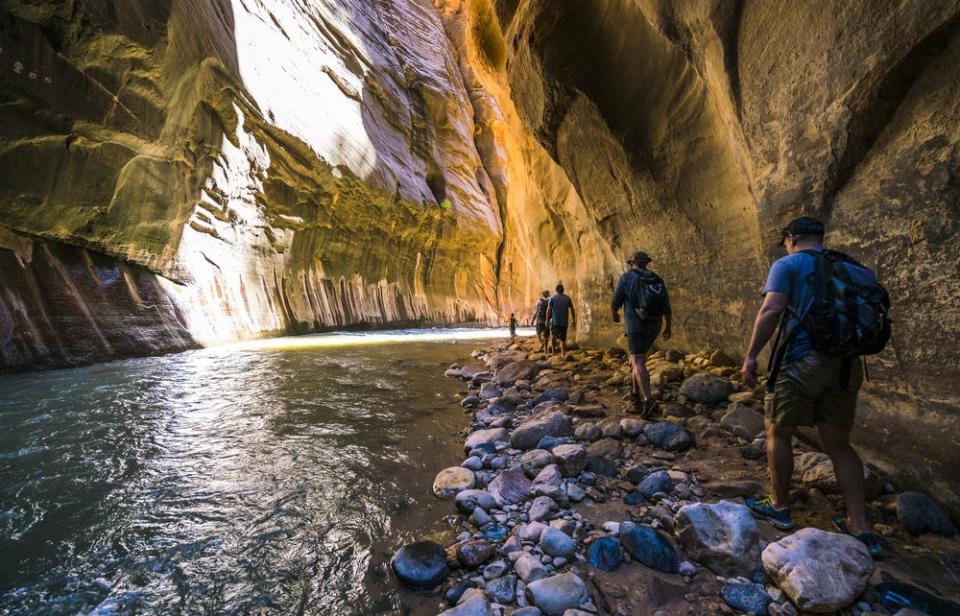 Zion national park