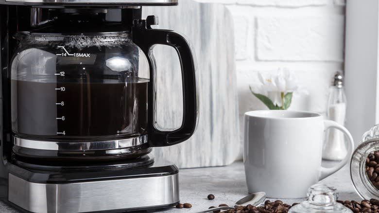 Stainless steel drip coffee makers