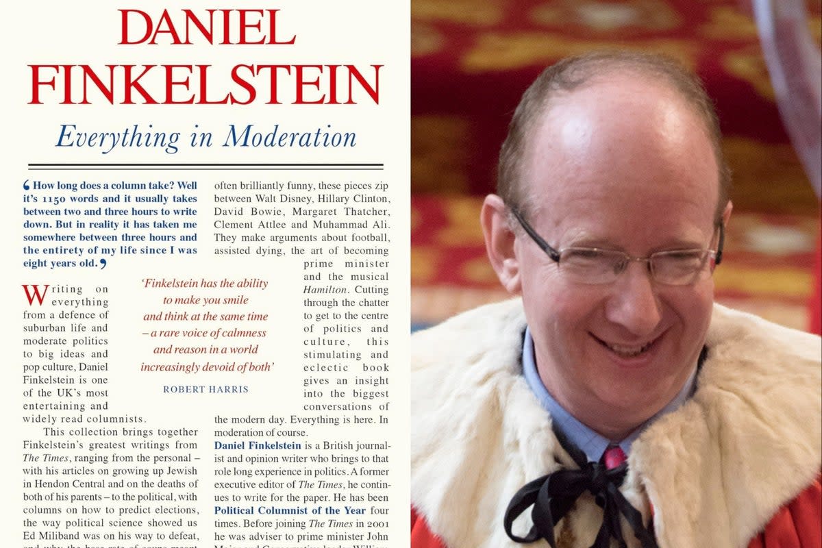 Daniel Finkelstein, author of ‘Everything in Moderation' (William Collins/Getty)