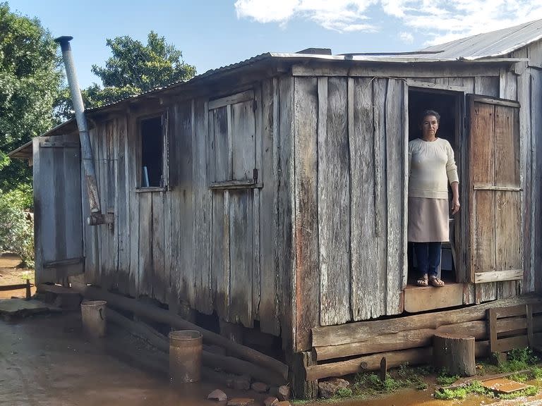 Vivir en la Selva Misionera; sociedad