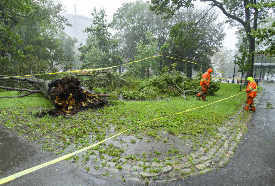 City of Saint John workers put caution tape around a large tree that fell in King's Square, in Saint John, N.B on Saturday, Sept. 16, 2023. Severe conditions were predicted across parts of Massachusetts and Maine, and hurricane conditions could hit the Canadian provinces of New Brunswick and Nova Scotia, where the storm, Lee, downgraded early Saturday from hurricane to post-tropical cyclone, was expected to make landfall later in the day. (Michael Hawkins /The Canadian Press via AP)