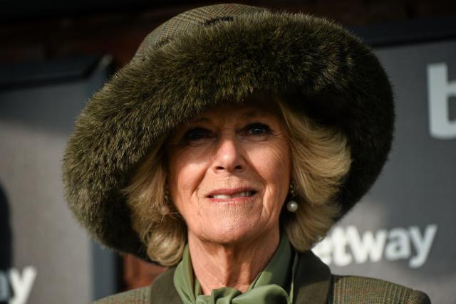 11 March 2015; The Duchess of Cornwall Camilla Parker Bowles at the day&#39;s races. Cheltenham Racing Festival 2015, Prestbury Park, Cheltenham, England. Picture credit: Ramsey Cardy / SPORTSFILE (Photo by Sportsfile/Corbis/Sportsfile via Getty Images)