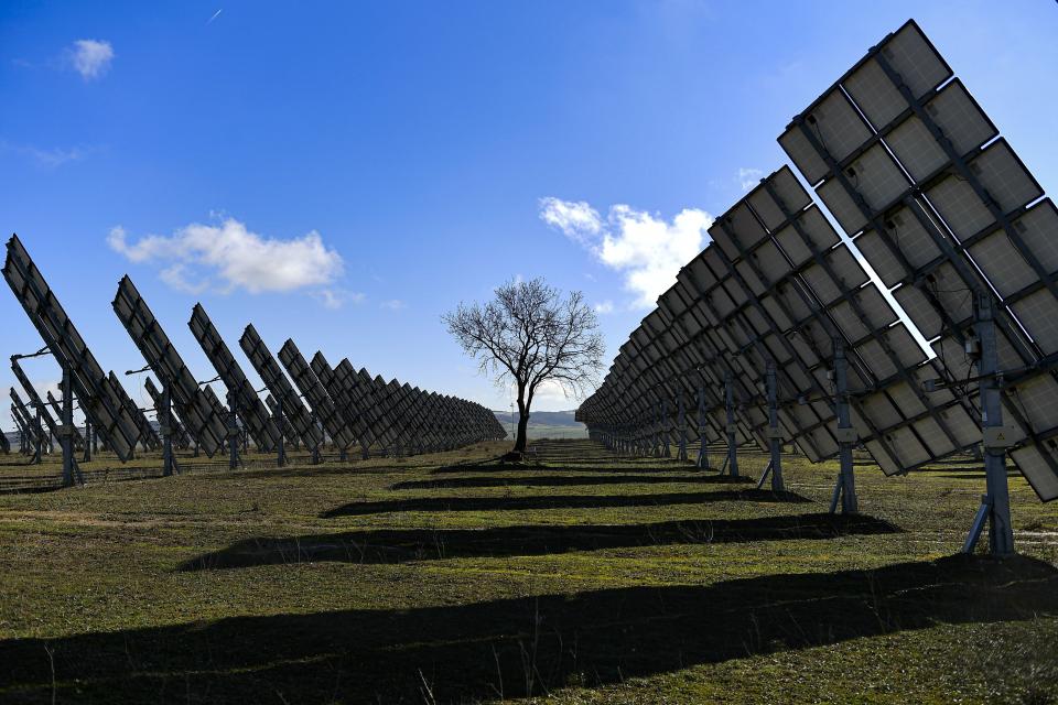 Een boom wordt omringd door zonnepanelen in Los Arcos, provincie Navarra, Noord-Spanje, vrijdag 24 februari 2023. Spanje bouwt voort op zijn reputatie op het gebied van hernieuwbare energie om zichzelf te positioneren als Europa's toekomstige leider op het gebied van groene waterstof. Maar sommige experts uit de energiesector zijn voorzichtig met het opvoeren van een industrie die volledig afhankelijk zou zijn van een enorme toename van de beschikbaarheid van koolstofvrije elektriciteit uit bronnen zoals wind of zon. (AP Foto/Alvaro Barrientos)