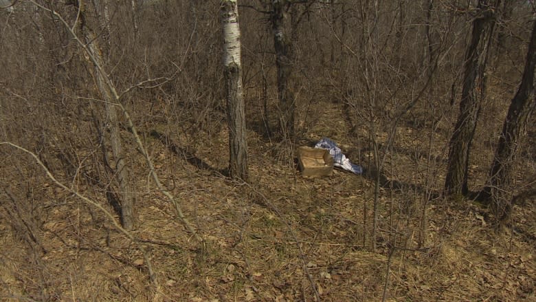 Man finds dead puppy, syringe in box at Birds Hill Park