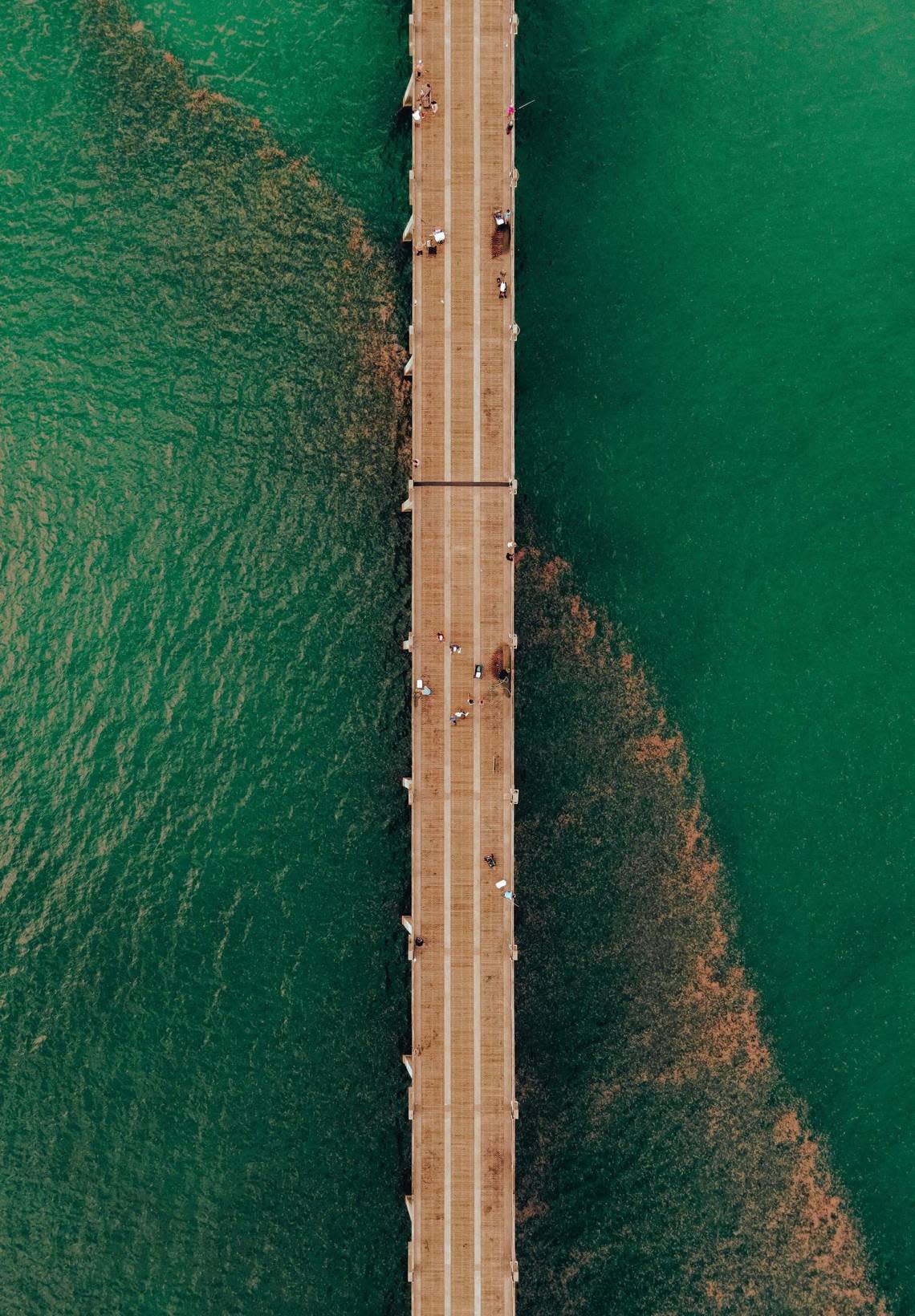 Drone photo captures thousands of jellyfish in Navarre Beach, Florida, on Tuesday, August 23, 2022. Amber Fletcher (amberfletcher.com)