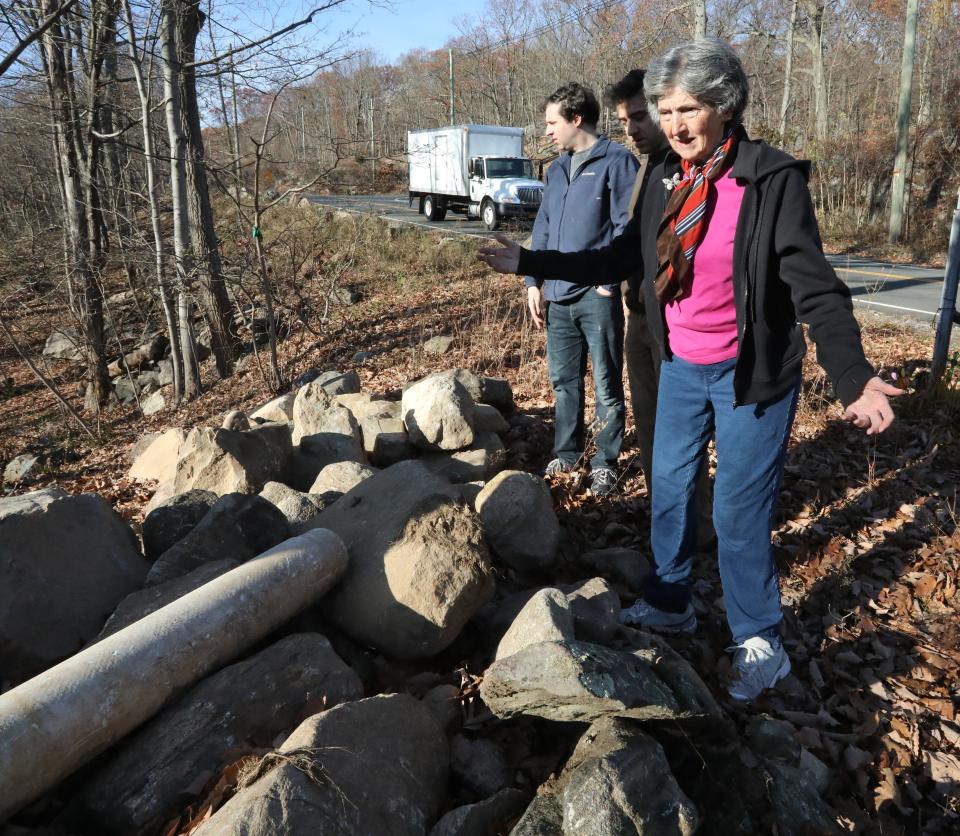 Rosemarie D'Alessandro with her sons, Michael, left, and John near the area where the body of Joan DÕAlessandro was found in Harriman Park. Someone dumped a pile of rocks at the site, they now plan on using the rocks as part of the memorial Nov. 16, 2023.