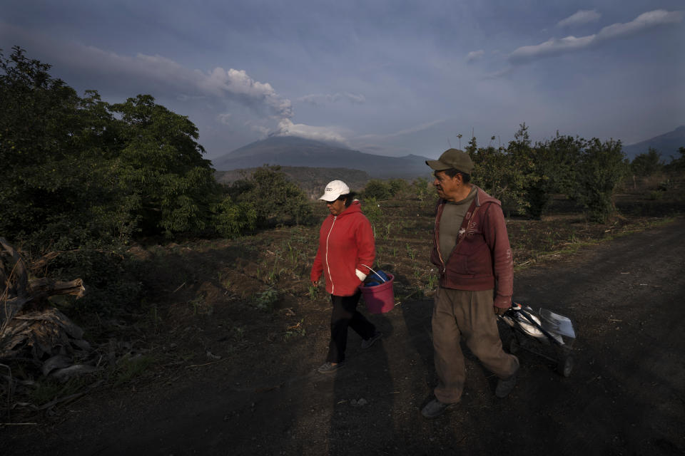 Husband and wife Gumersindo Roque and Ines Castro walk on their land to plant corn, near the Popocatépetl volcano which spews ash and steam, behind, in Santiago Xalitzintla, Mexico, Wednesday, May 24, 2023. (AP Photo/Marco Ugarte)