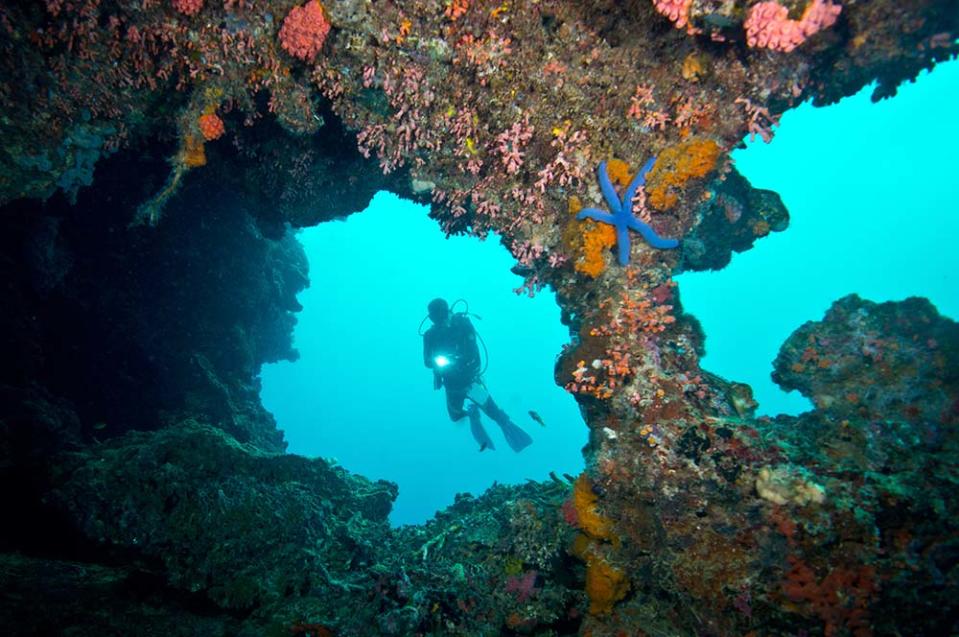 佩斯卡多島（Image Source : Getty Creative）